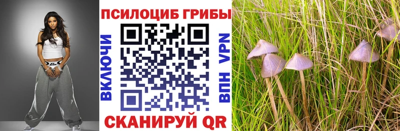 Галлюциногенные грибы прущие грибы  Ясный 
